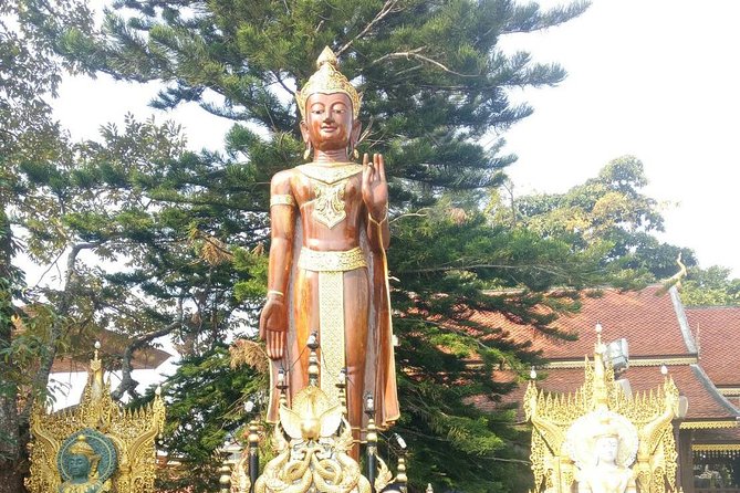 Chiang Mai Private Tour with Tea Plantation, Karen Village, Doi Suthep - Wat Phra That Doi Suthep: the classic temple stop, timed right
