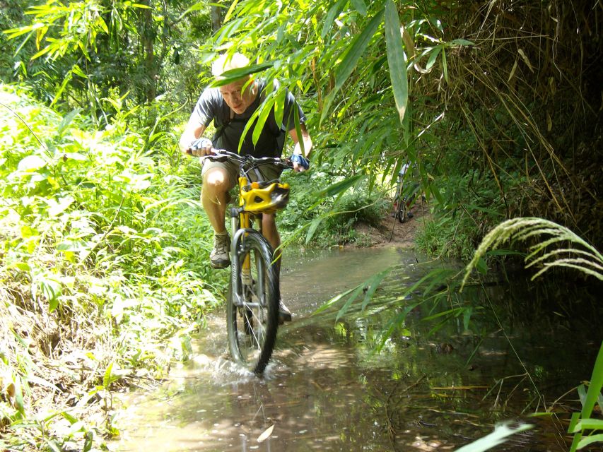 Chiang Mai: Rainforest Guided Mountain Biking Tour - Mae Kuang Dam viewpoint, lunch, and the moment it all clicks