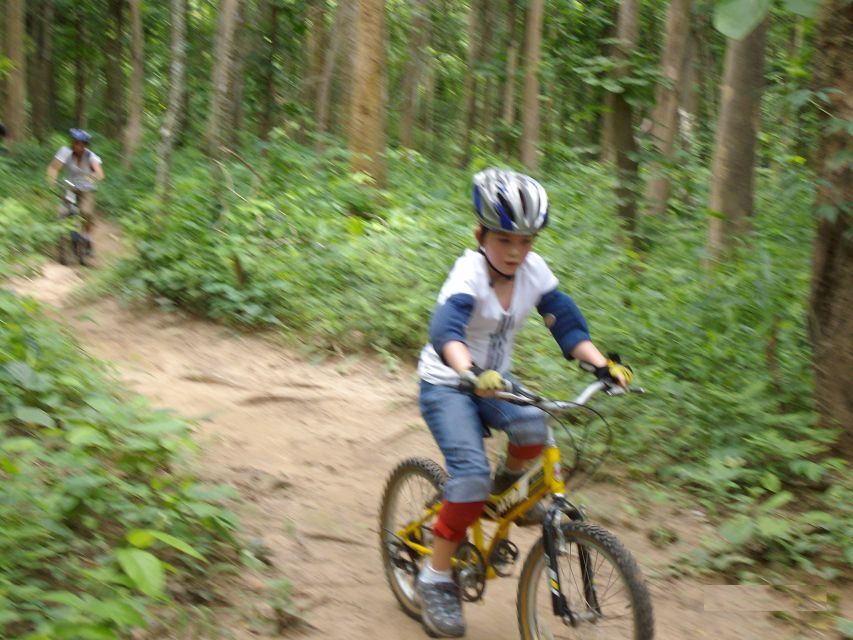 Chiang Mai: Rainforest Guided Mountain Biking Tour - Price and value, what $62 gets you for a 4-hour day