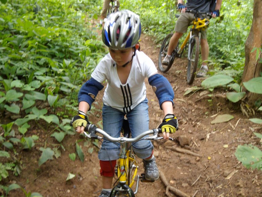 Chiang Mai: Rainforest Guided Mountain Biking Tour - Who this tour fits best in real life
