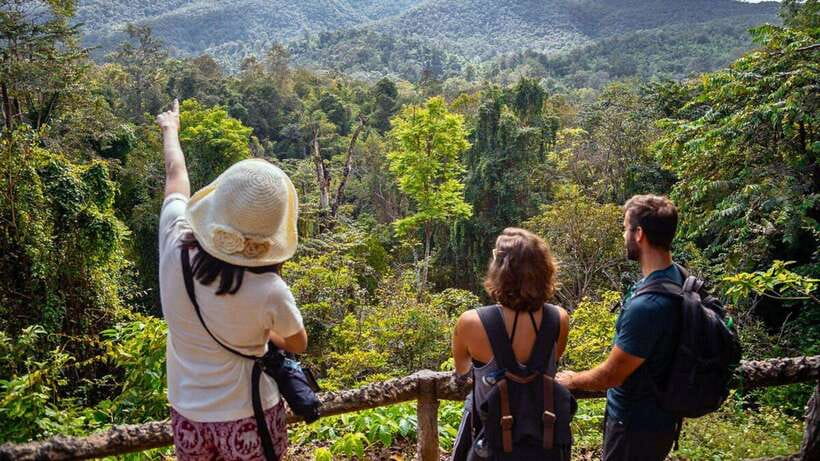 Chiang Mai: Sticky Waterfall, Chet Si Fountain Park Transfer - What You Get (and What You Do Not): Price and Value