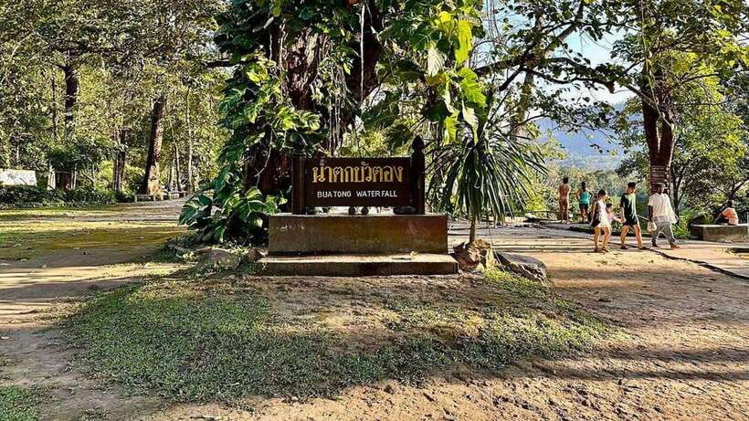 Chiang Mai: Sticky Waterfall, Chet Si Fountain Park Transfer - Bua Thong Practical Tips That Make Climbing Easier