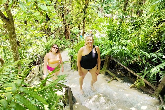 Chiang Mai Sticky Waterfall Dantewada and Banden Temple Tour - Who this Chiang Mai tour fits best