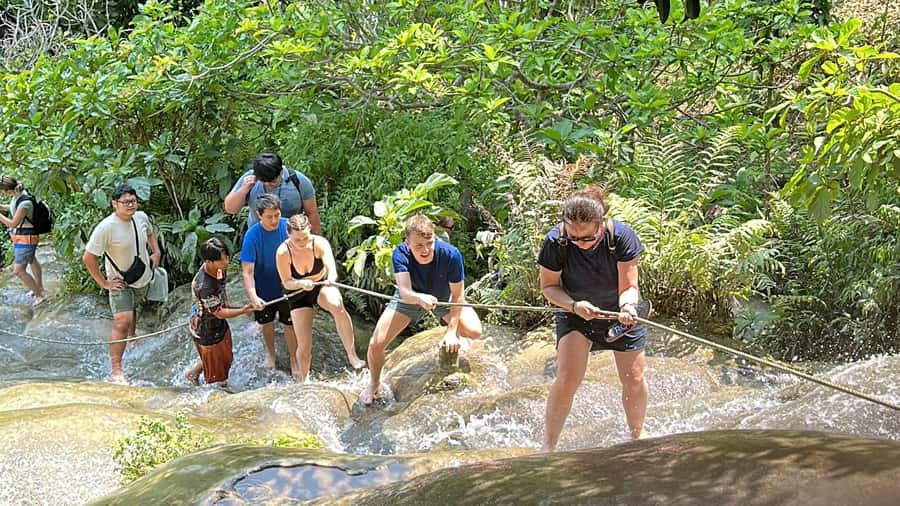 Chiang Mai : Sticky waterfall (Half Day Tour) Hotel Transfer - Key Takeaways Before You Go