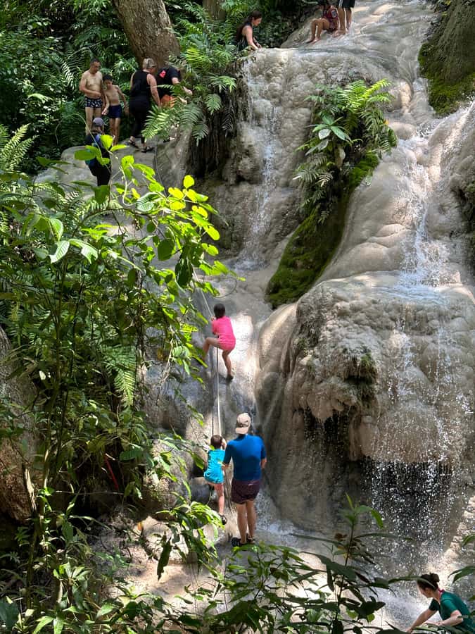 Chiang Mai : Sticky waterfall (Half Day Tour) Hotel Transfer - Morning vs Afternoon: How to Choose Your Half-Day Window