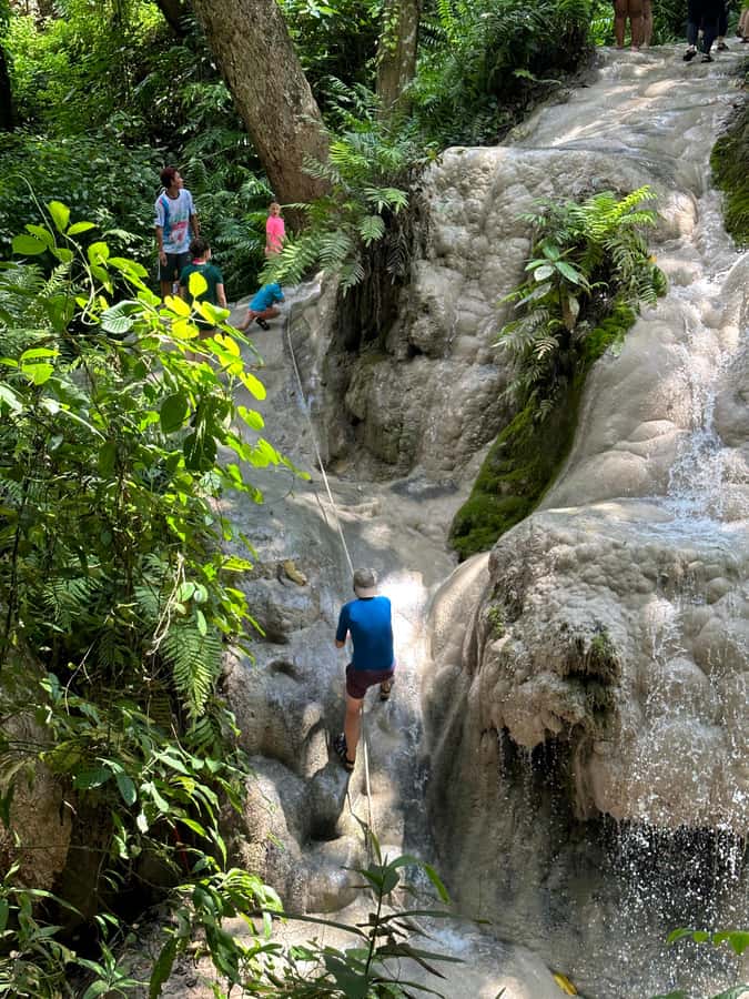 Chiang Mai : Sticky waterfall (Half Day Tour) Hotel Transfer - The Waterfall Block: What 2 Hours at Buathong Is Like