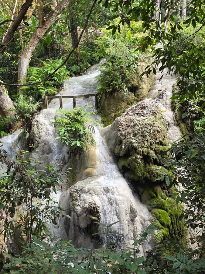 Chiang Mai : Sticky waterfall (Half Day Tour) Hotel Transfer - Should You Book Buathong Sticky Waterfall Half-Day?