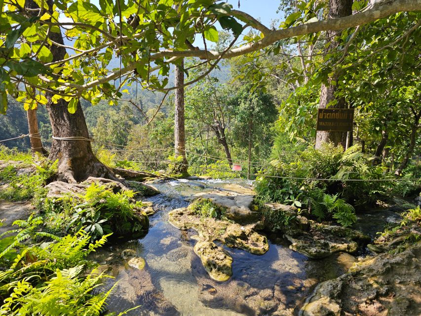 Chiang Mai: Sticky Waterfall Half-Day Tour & Hotel Transfers - Si Lanna National Park entry: nature time beyond the waterfall