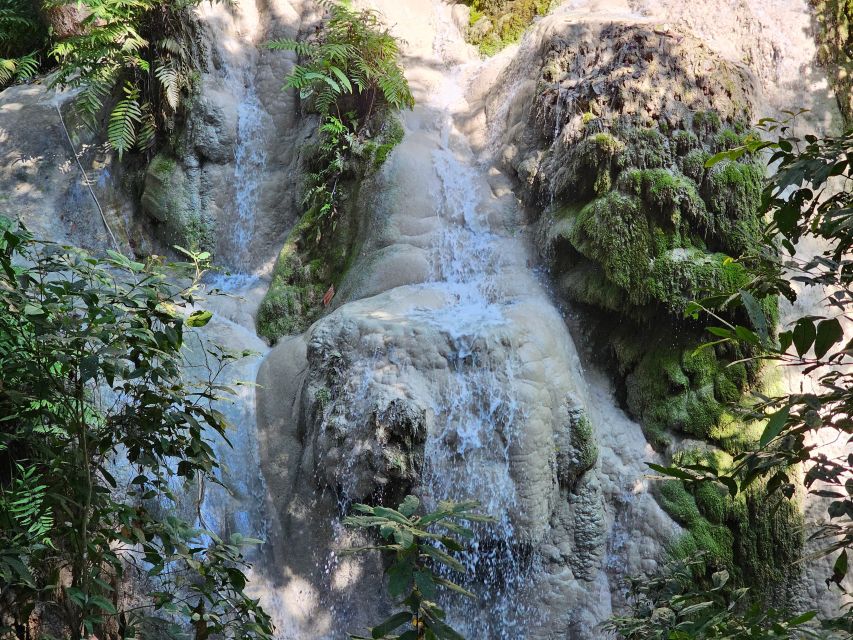 Chiang Mai: Sticky Waterfall Half-Day Tour & Hotel Transfers - Top views, the blue-green spring pool, and swim time