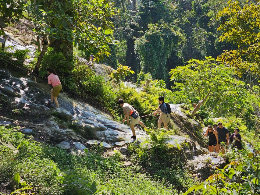 Chiang Mai: Sticky Waterfall Half-Day Tour & Hotel Transfers - How much waterfall time you actually need