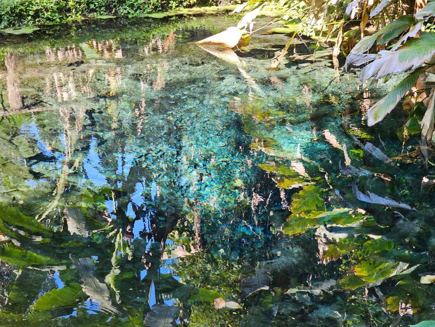 Chiang Mai: Sticky Waterfall Half-Day Tour & Hotel Transfers - What you get for the $30 price, and what costs extra