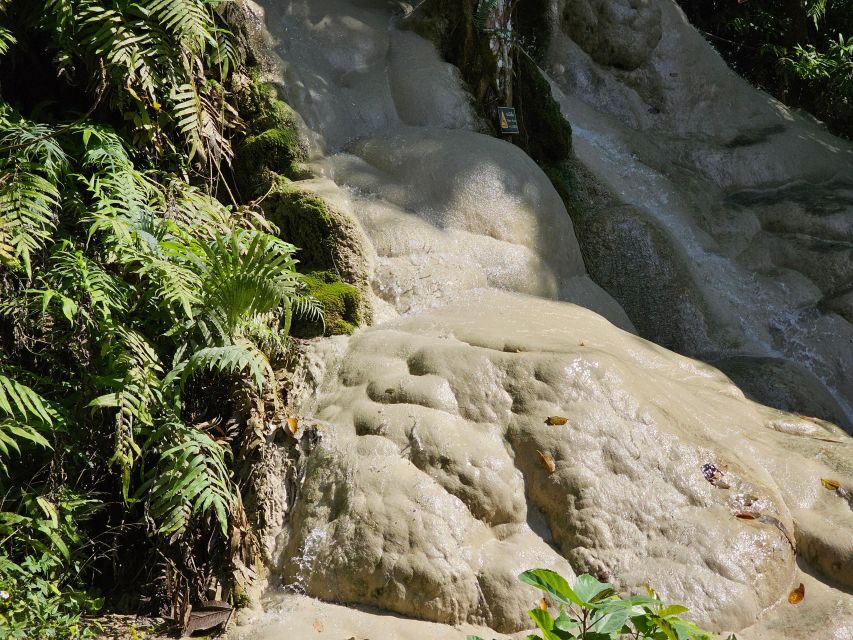 Chiang Mai: Sticky Waterfall Half-Day Tour & Hotel Transfers - Morning vs afternoon in Chiang Mai: pick your crowd level