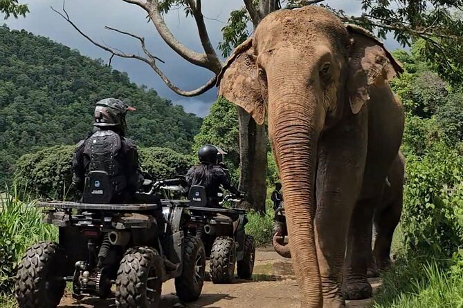 Chiang Mai Sticky Waterfall Tour ATV and Scenic Café - Getting to Mae Taeng: what the 9 hours really look like