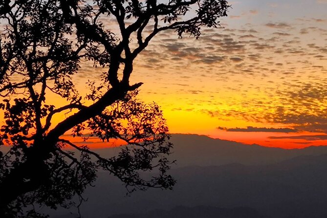 Chiang Mai Sunset Point, Wat Pha Lat, Wat Doi Suthep, Wat Umong - Why This Chiang Mai Sunset Temple Route Feels More Than a Checklist