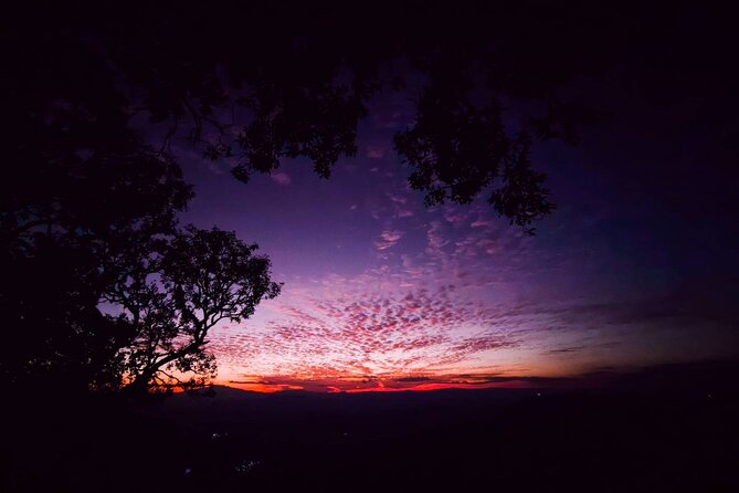 Chiang Mai Sunset Point, Wat Pha Lat, Wat Doi Suthep, Wat Umong - Who This Tour Suits Best (and Who Might Want a Different Plan)
