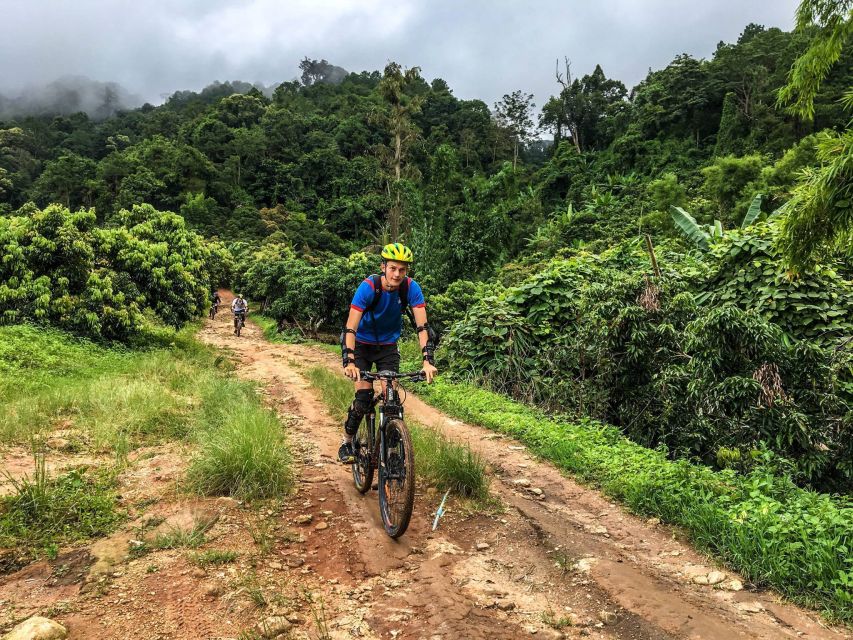 Chiang Mai: Suthep National Park Hiking & DH Mountain Biking - The 11 km jungle climb to Doi Pui summit at about 1,400 m