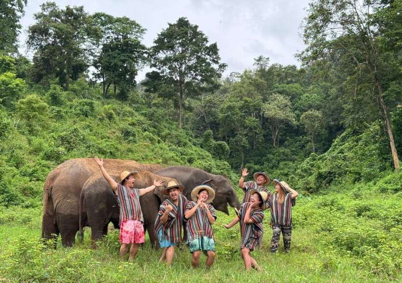 Chiang Mai | TeeTee Elephant Home Elephant Care Half-Day - Key things worth knowing before you go
