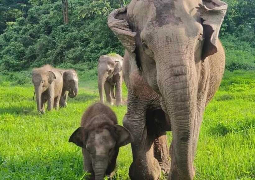 Chiang Mai | TeeTee Elephant Home Elephant Care Half-Day - Your outfit, what’s provided, and what to bring anyway