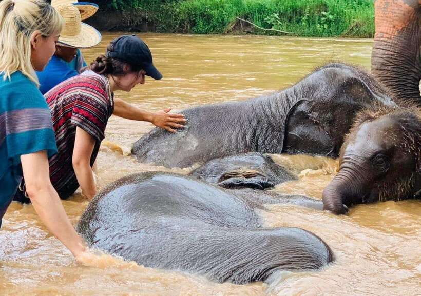 Chiang Mai | TeeTee Elephant Home Elephant Care Half-Day - Getting there: Chiang Mai pick-up and the real travel time