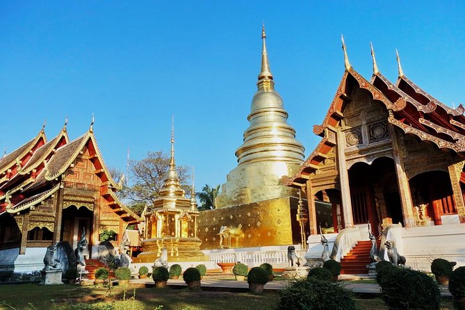 Chiang Mai Temples & City - Wat Suan Dok: White Chedis, Pagodas, and the Flower Garden Temple