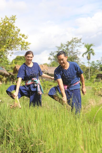 Chiang Mai: Thai Buffalo and Rice Planting Experience - Buffalo and rice planting around Chiang Mai: what this day really is