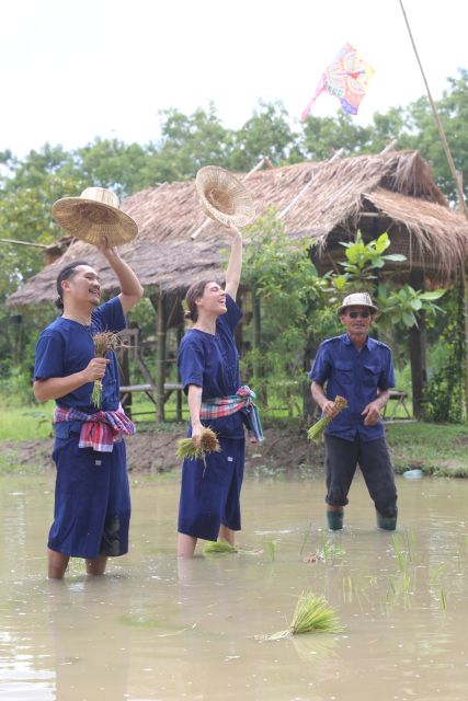 Chiang Mai: Thai Buffalo and Rice Planting Experience - Getting the timing right: 150 minutes that still feel complete