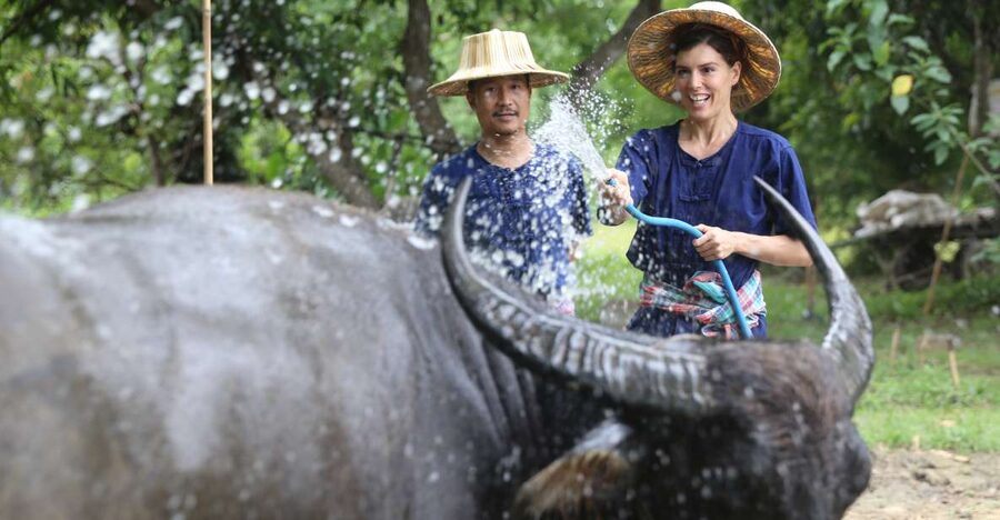 Chiang Mai: Thai Buffalo and Rice Planting Experience - Starting at Hang Tueng: where your farm day begins