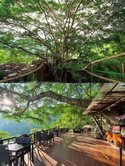 Chiang Mai: The Giant Café & Mae Kampong Village Day Trip - From Chiang Mai to Mae Kampong, the “why” of this day trip