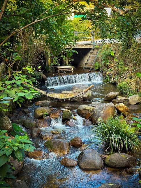 Chiang Mai: The Giant Café & Mae Kampong Village Day Trip - Lunch planning: eat local, keep it flexible, and watch your timing