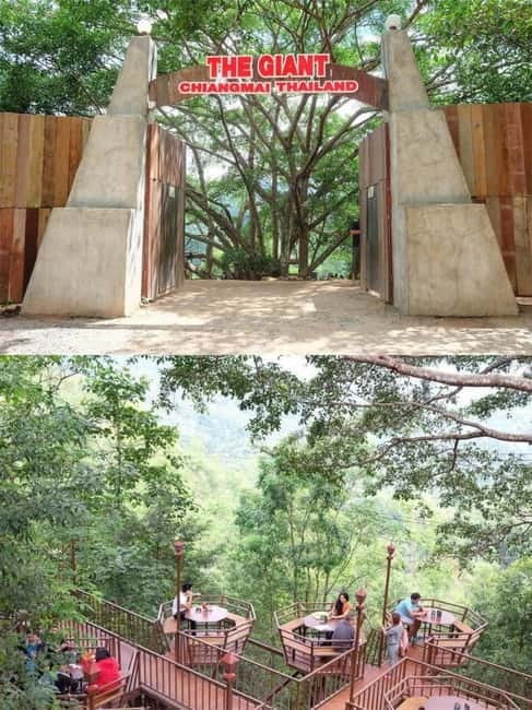 Chiang Mai: The Giant Café & Mae Kampong Village Day Trip - Price and value: what you pay for at $54 per person