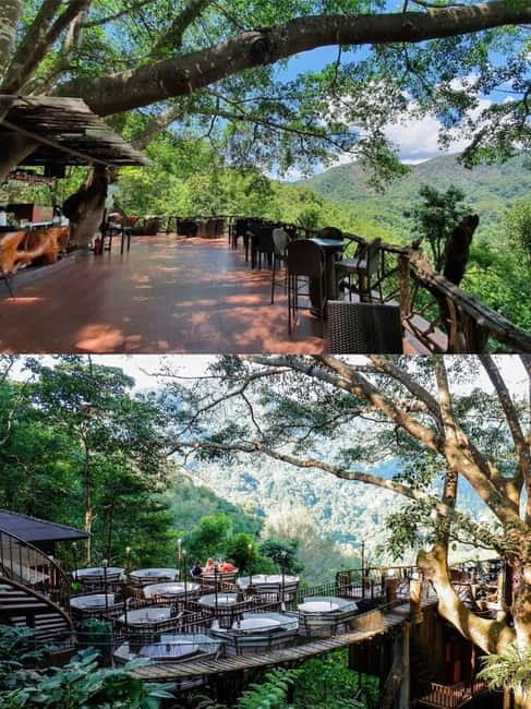 Chiang Mai: The Giant Café & Mae Kampong Village Day Trip - Pickup, transport, and the comfort factor on winding roads