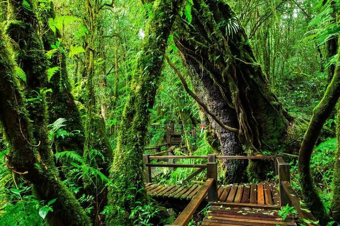 Chiang Mai to Doi Inthanon Full Day Shared Tour - Sirithan Falls: shorter stop, dramatic rock setting