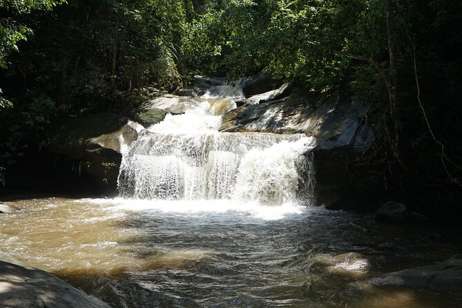Chiang Mai Trekking Tour :Full day (no rafting) - What You Get From This Chiang Mai Trek and Elephant Day