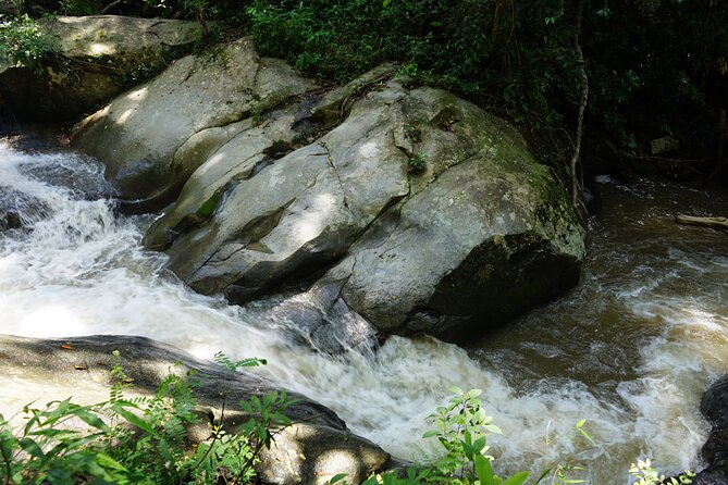 Chiang Mai Trekking Tour :Full day (no rafting) - Small Group Size (Max 9): Why It Feels Less Chaotic