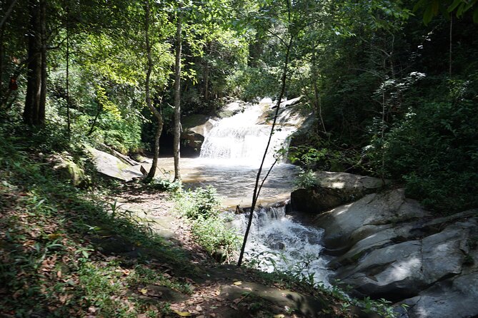 Chiang Mai Trekking Tour :Full day (no rafting) - Trekking in the Doi Inthanon Area: Nature Time That Feels Like a Real Day Out