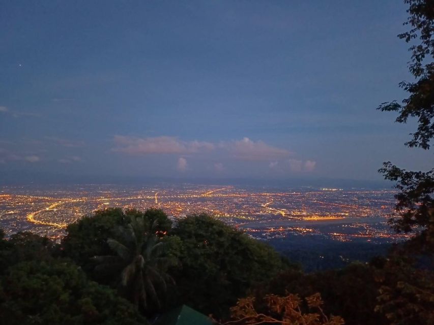 Chiang Mai: Wat Pha Lat & Wat Phra That Doi Suthep Tour - Who should book this tour, and who should skip it