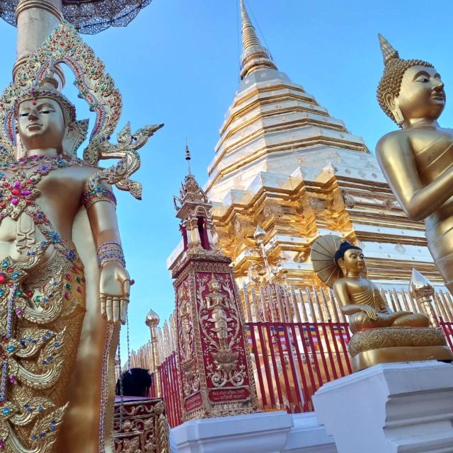 Chiang Mai: Wat Pha Lat & Wat Phra That Doi Suthep Tour - A late-afternoon van ride to temple glow