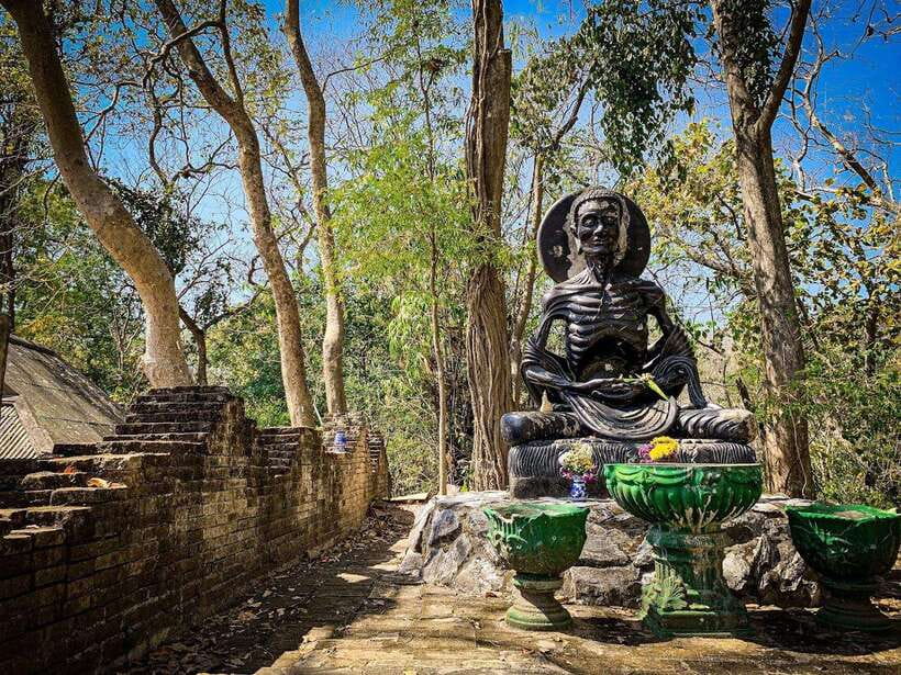 Chiang Mai:Wat Phra That Doi Suthep & Wat Umong Evening Tour - The guide and driver make or break the evening