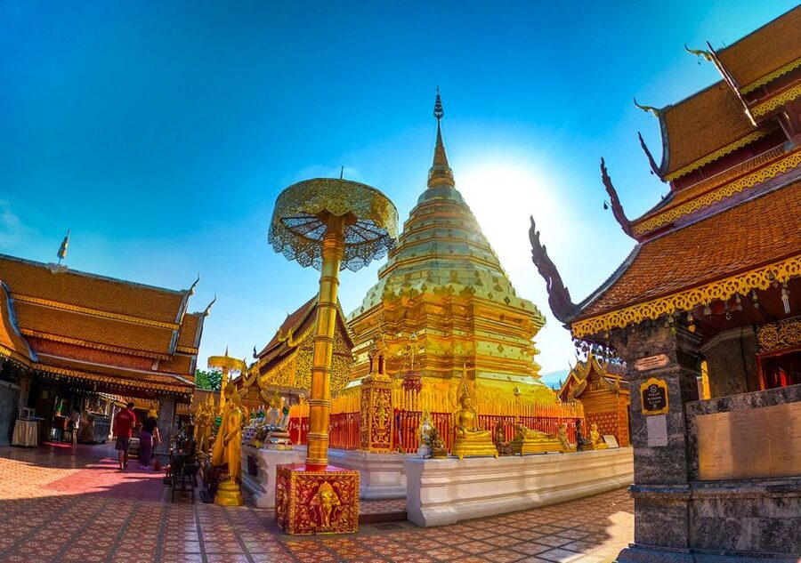 Chiang Mai: Wat Umong & Doi Suthep Half Day Tour - King Mengrai’s Meditation Tunnel and the Buddha Image Walk