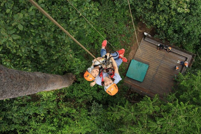 Chiang Mai Zip Line Experience - Quick reasons this Chiang Mai zipline tour is a solid pick