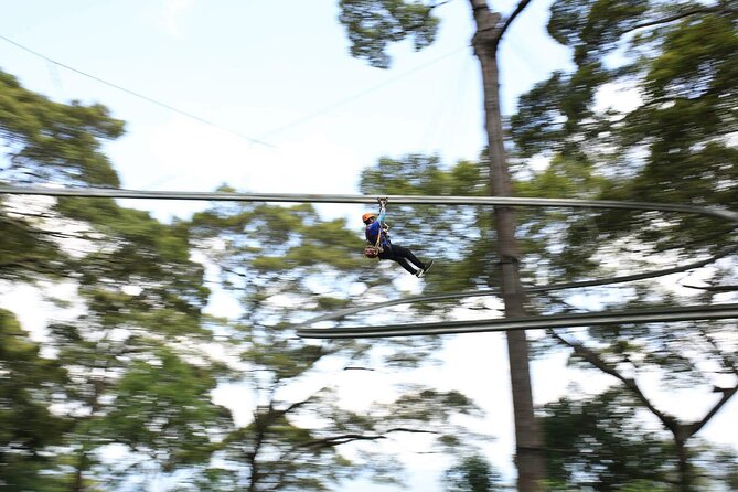 Chiang Mai Zip Line Experience - Views plus recovery: fruit, coffee, tea, and water after the flying