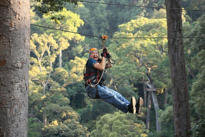 Chiang Mai Zip Line Experience - Price and value: is $59.90 worth it?