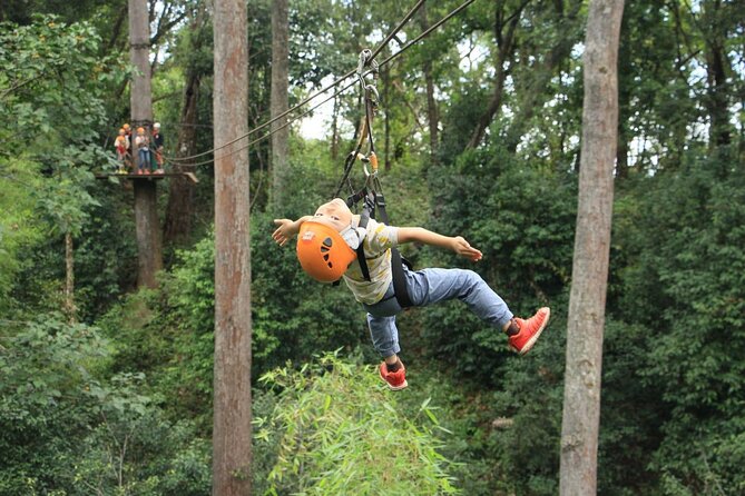 Chiang Mai Zip Line Experience - The canopy circuit: 14 ziplines, 6 staircases, and 2 abseils