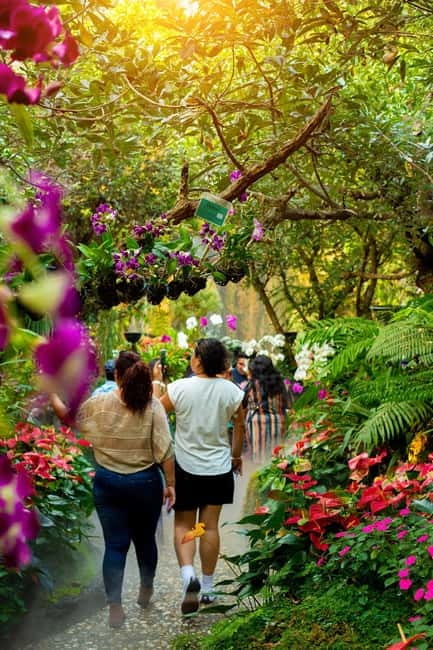 Chiang Rai: Excursion White, Blue,Red Temples & Lalitta Café - Mae Kachan Hot Spring Break: Quick Reset, Limited Time