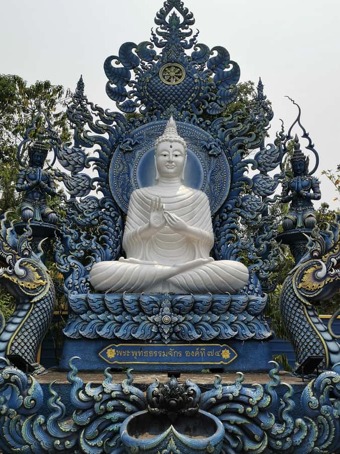 Chiang Rai White, Blue, Red 3 Temples Tour - Timing and the Return Drive Back to Chiang Mai