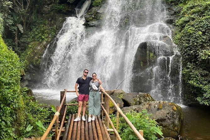 ChiangMai 1DayTour:Elephant Sanctuary,king&queen pagoda,waterfall - Key points to know before you go