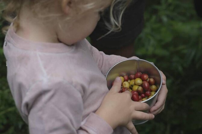 Chiangmai Coffee Farm Tour - Making souvenirs with dried cherries: craft time with a purpose