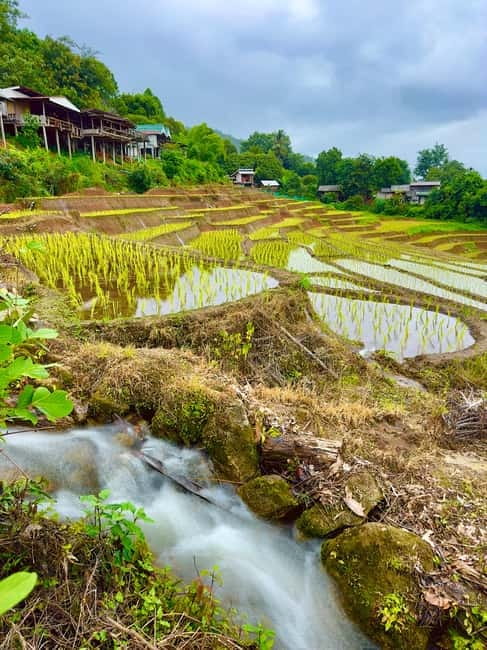 Chiangmai : Doi Inthanon unseen spot , Rice terrace & temple - Ban Mae Klang Laung and Karen coffee, textiles, and daily life