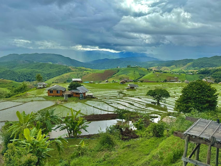 Chiangmai : Doi Inthanon unseen spot , Rice terrace & temple - Rice terraces near Doi Inthanon, green to golden during the rainy season