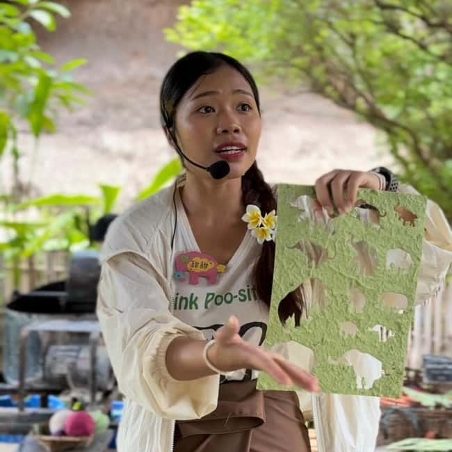 ChiangMai Elephant POOPOOPAPER Park Optional StickyWaterfall - The Paper-Making Process: From Collection to Colored Sheets